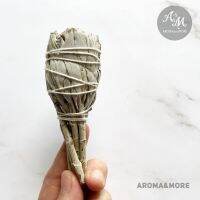 Aroma&amp;More  ไวท์ เสจ White Sage สำหรับจุดขับไล่ปัดเป่า สร้างพลังงานบวก กลิ่นหอม แบบช่อ ขนาด 15-18gx10cm