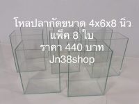 โหลปลากัดขนาด 4x6x8 นิ้ว แพ็ค 8 ใบ