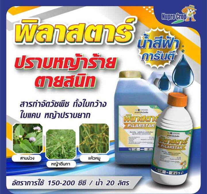 กลูโฟซิเนต-แอมโมเนียม-พิลาสตาร์-4-ลิตร-เกรด-aaa-น้ำฟ้าใส-ใช้ในสวนทุเรียน-สวนยางพารา-สูตรทนฝน-ฆ่าหญ้าใบแคบกว้าง-เผาไหม้-ไม่ตกค้างในดิน