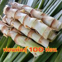 ท่อนพันธุ์ 100ท่อน หญ้าหวานอิสราเอล