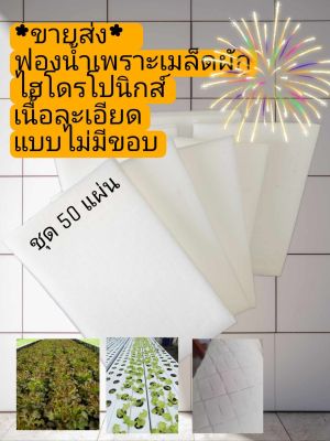 ฟองน้ำปลูกผักไฮโดรเนื้อละเอียด ขนาดมาตรฐาน 96 ช่องปลูก 1*1*1 นิ้ว แบบไม่มีขอบ 50 แผ่น