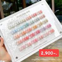 สีไซรัป สีเจล มี 30สี พร้อมชาร์ดสี