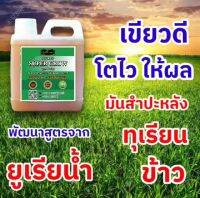 ?ปุ๋ยน้ำ Super grow?ซื้อ5ลิตรแถมค้างคาว500ml.พืชใบเขียว​ โตเร็ว​ มีไนโตรเจน​ มีหลายขนาดให้เลือก