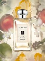 Jo Malone Nectarine Blossom &amp; Honey Cologne 9ml (Gold Package) น้ำหอมสุดหรูที่ให้กลิ่นหอมละมุนจากธรรมชาติ กลิ่นพีชและน้ำผึ้งหอมละมุนไม่เลี่ยน รู้สึกสดชื่นทุกครั้งที่ฉีด