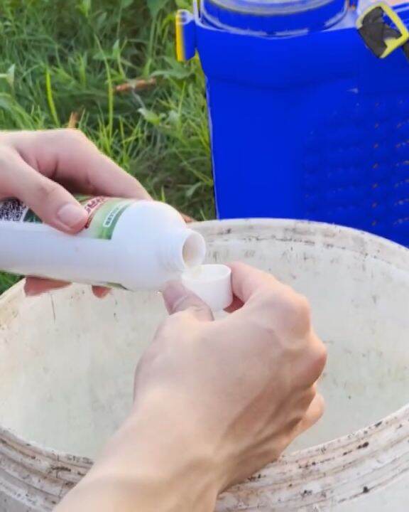 Kill Grass Organic Eco safe 500ML Lazada PH