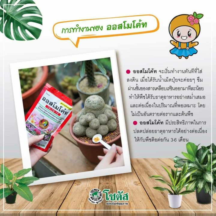 ออสโมโค้ท-พลัส-สูตร-12-25-6-1-แมกนีเซียม-สูตรดอก