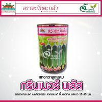 เมล็ดพันธุ์แตงกวา “ กรีนเนอร์พลัส”  ? ขนาด100g ?ตราตะวันต้นกล้า?