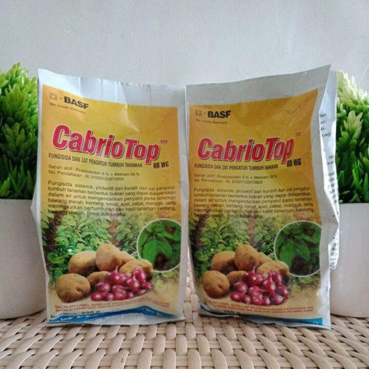 Fungisida Cabrio Top 60WG 250gram Lazada Indonesia