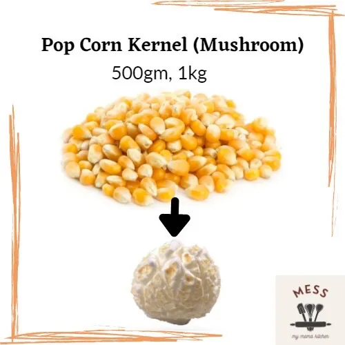 Mushroom Popcorn Kernel / Bertih Jagung USA Lazada