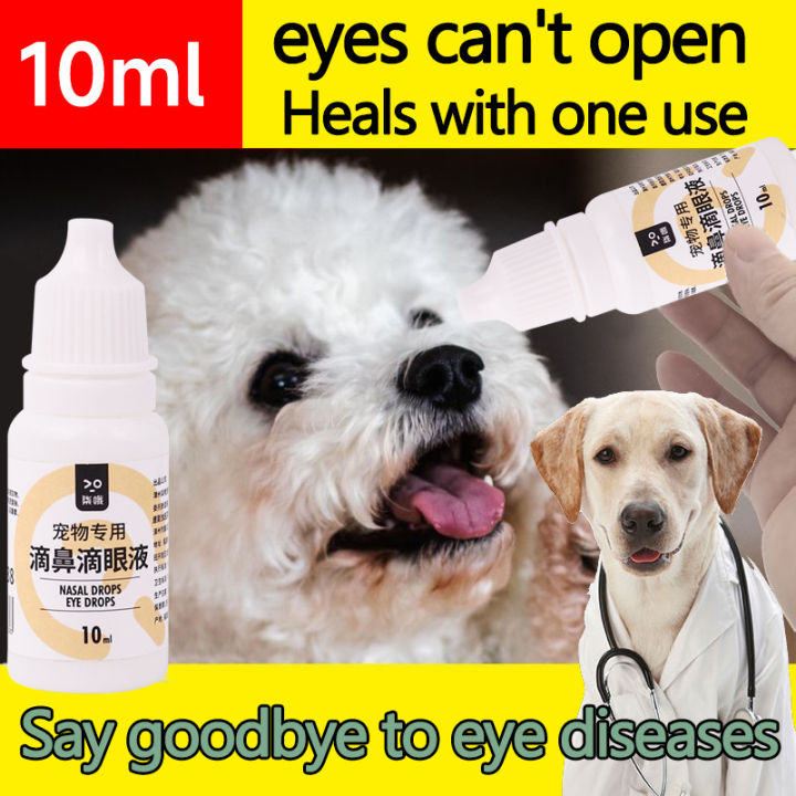 Pet Eye Drops and Nose Drops Removing Tear Marks in Cats and Dogs ...