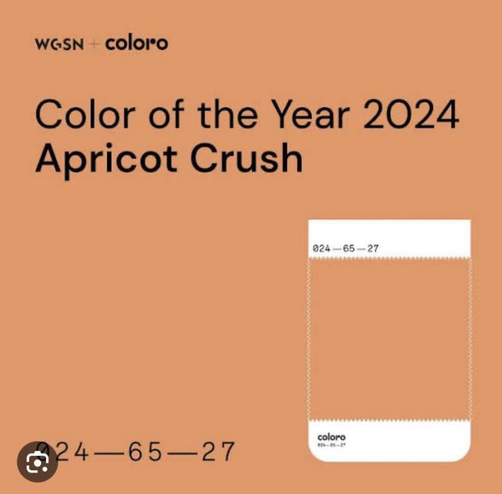 Color of the year 2024 Plain Tshirt Unisex with sizes Lazada PH