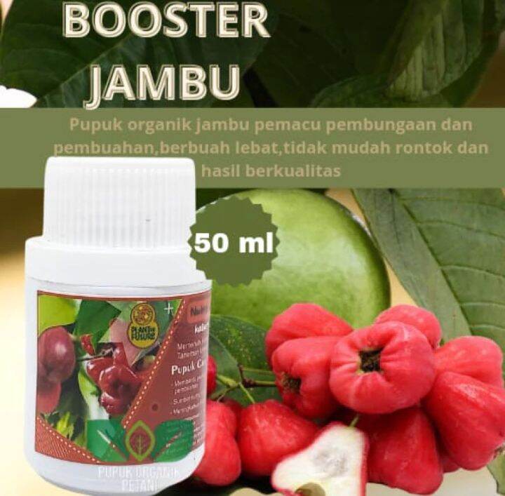 Pupuk Organik Cair Booster Jambu Kemasan Ml Penyubur Pelebat Tanaman Jambu Anto Rontok