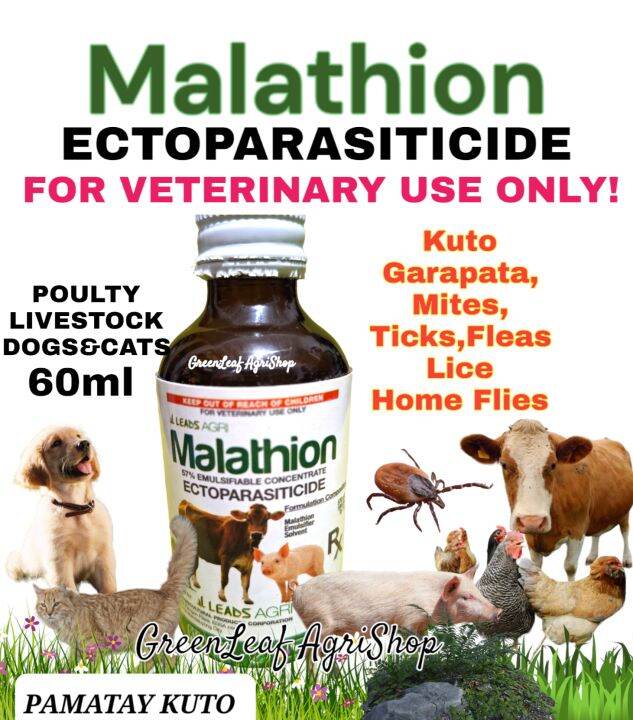 Malathion ECTOPARASITICIDE 57 Concentrate(PAMATAY KUTO,Ticks,Fleas