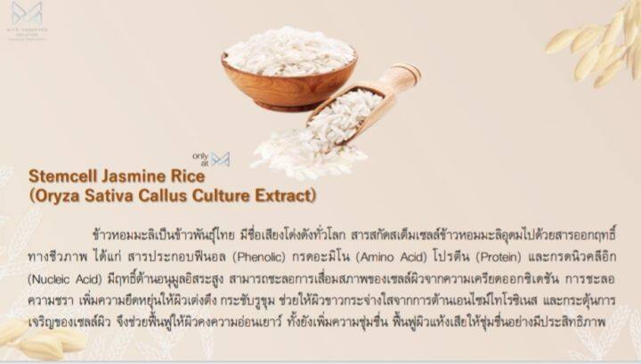 bellina-เบลลิน่า-จัสมิน-ไรซ์-ไบร์ทเทนนิ่ง-ครีม-bellina-jasmine-rice-brightening-cream-ครีมบำรุงผิวหน้ากลางคืน