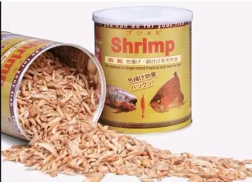 Dry Worm - Best Price in Singapore - Apr 2024