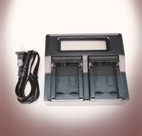 LCD DAUL CHARGER FW50 (0261)