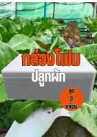 กล่องโฟม กล่องโฟมปลูกผัก กล่องโฟมปลูกผักไฮโดรโปนิกส์ กล่องโฟมยังไม่เจาะรู(ชุด3กล่อง)