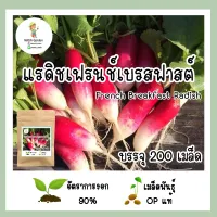 เมล็ดแรดิชเฟรนช์เบรสฟาสต์  200 เมล็ด เมล็ดพันธุ์ OPแท้ อัตราการงอกสูง?