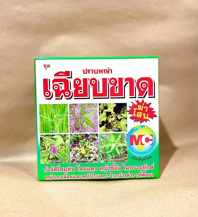 ชุดปราบหญ้า-เฉียบขาด-1ชุด-1กล่อง-ฉีดพ่นได้3-4ไร่-กำจัดวัชพืช-โสนหิน-โสนเเดง-หญ้าขี้อ้น