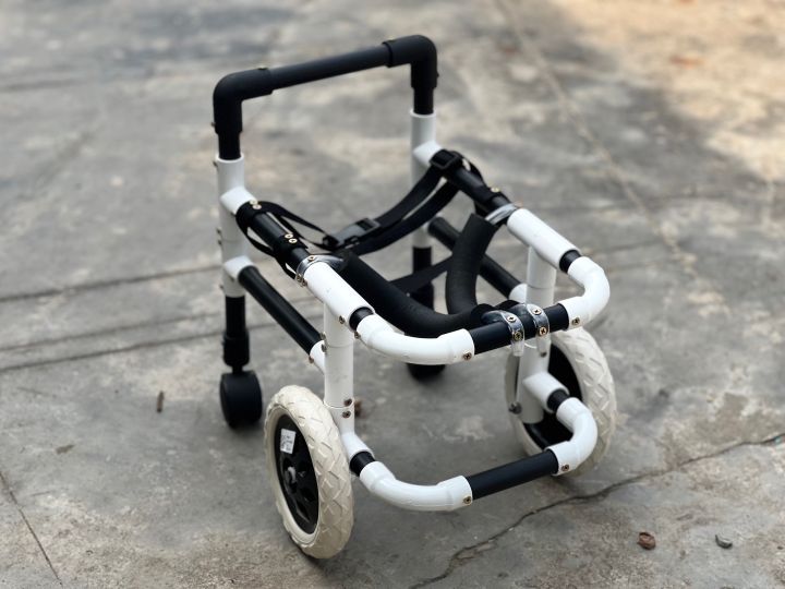 wheelchair-for-dog