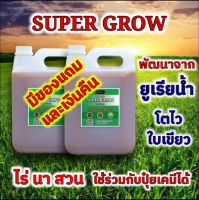 ?ปุ๋ย ยูเรียน้ำ Super grow แพ็คคู่10ลิตร (5ลิตร*2แกลลอน)พืชโตไว  ใบเขียว ดกหนา