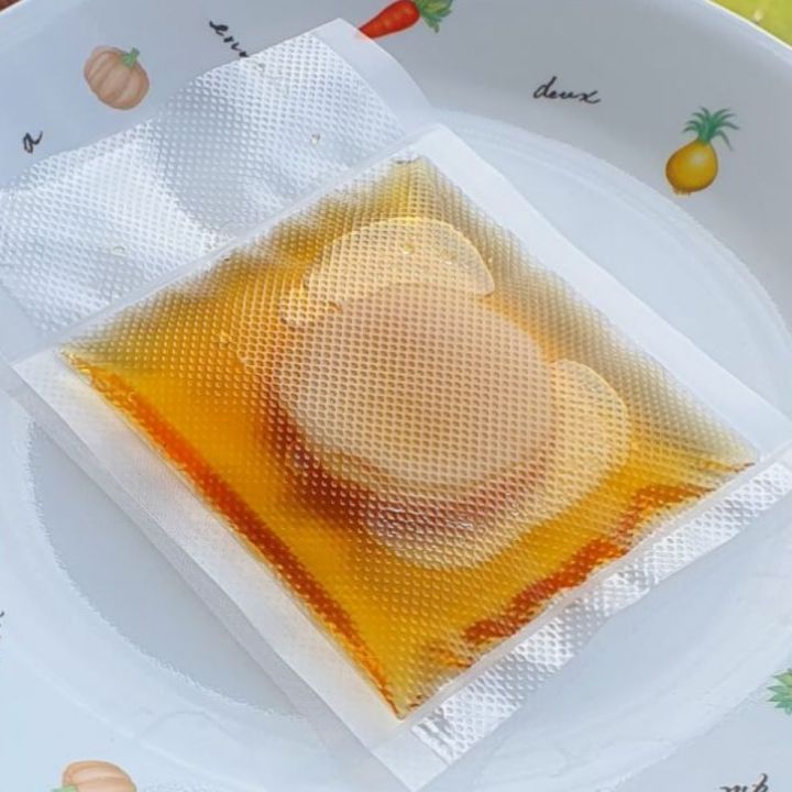 Scoby For Kombucha Benih Cendawan Mekah Lazada