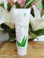 ครีมสมุนไพรบำรุงผิว l อโลว่า Alova l บ้านราช l ปกป้องผิวพรรณไม่ให้แห้งแตก