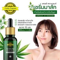 เซรั่มกันชา เฟรชชี่ฟราแกรนท์ มาส์กผิวหน้า 15-20 นาทีแล้วล้างออก จากใบกันชา facial mask serum 15ml