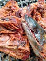 หัวปลาริวกิวตากแห้ง 1กิโลกรัม