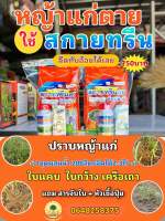 สกายทรีน ปราบหญ้าแก่ ยากำจัดวัชพืชเก็บหญ้าแก่ในไร่อ้อย 1ชุด 750บาท