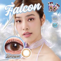 คอนแทคเลนส์ รุ่น Falcon สีเทา/ตาล Gray/Brown มีสายตาปกติ (0.00) เปลี่ยนแทนทุกเดือน