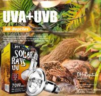 [ALL in one] DH Solar Ray 100W UVA+UVB หลอดรวม UVA UVB ให้ความร้อนและให้ UVB สำหรับเต่าบก หลอดจำลองแสงอาทิตย์