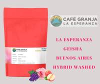 เมล็ดกาแฟคั่วอ่อน GEISHA BUENOS LA ESPERANZA  HYBRID WASHED