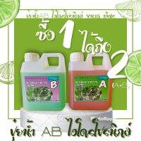 ปุ๋ยน้ำAB ไฮโดรโปนิกส์ ขนาด1ลิตร ซื้อ1 ได้ทั้ง2 (A+B) สำหรับเมลอนและผักสลัดทุกชนิด