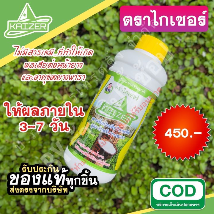 ไกเซอร์-สารเพิ่มประสิทธิภาพพืช-สูตรสำหรับยางพารา-ของแท้