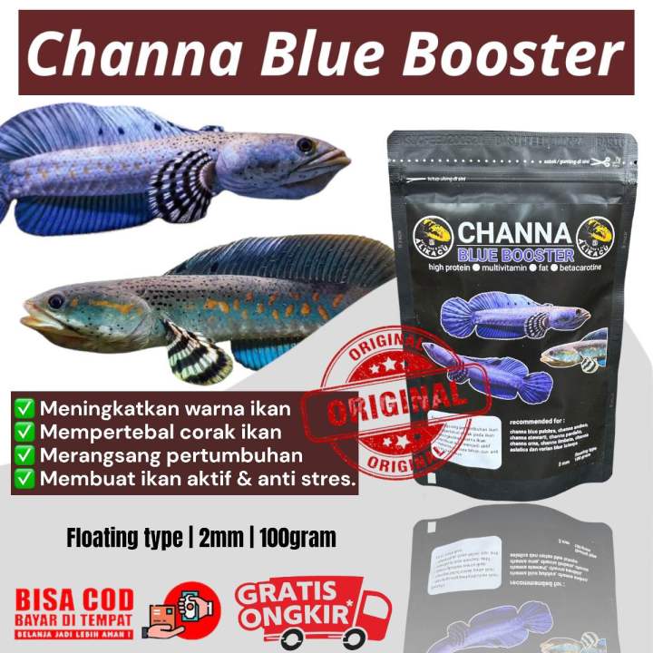channa縲�makanan縲�CHANNA縲�pulchra縲�PREMIUM縲�BLUE縲�cichlid縲�BOOSTER縲�maru縲�pelet縲�channa縲�ikan縲�blue縲�ikan縲�blue縲�Lazada縲�Indonesia