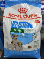 Mini Starter / Royal Canin 1 กก.