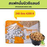 สแฟกนั่มนิวซีแลนด์ 240ลิตร