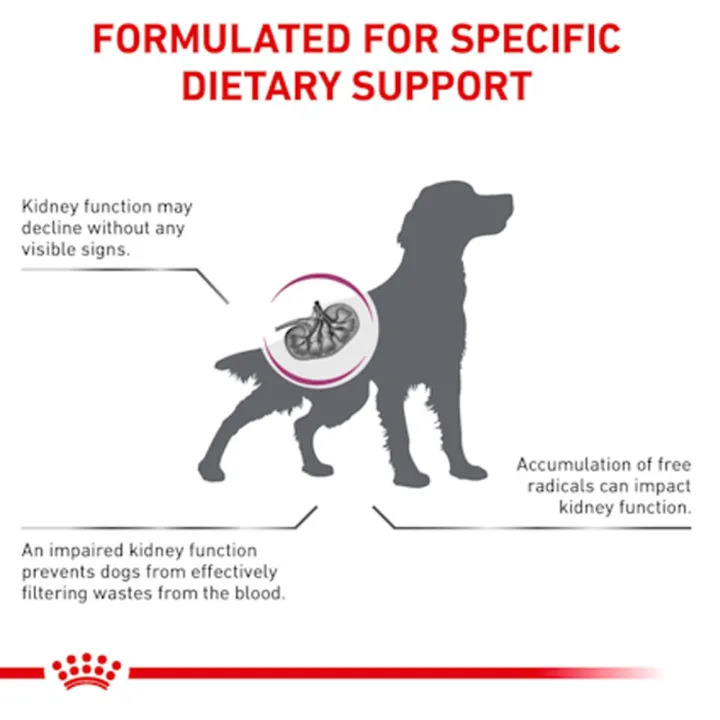 exp10-24-royal-canin-vet-early-renal-dog-7-kg-อาหารสุนัขโรคไต-ระยะเริ่มต้น-หรือมีความเสี่ยงจะเป็นโรคไต