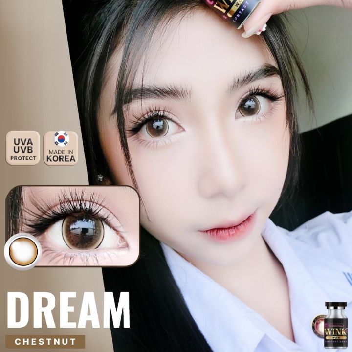 dream-chestnut-ลายตามหาลายขายดี