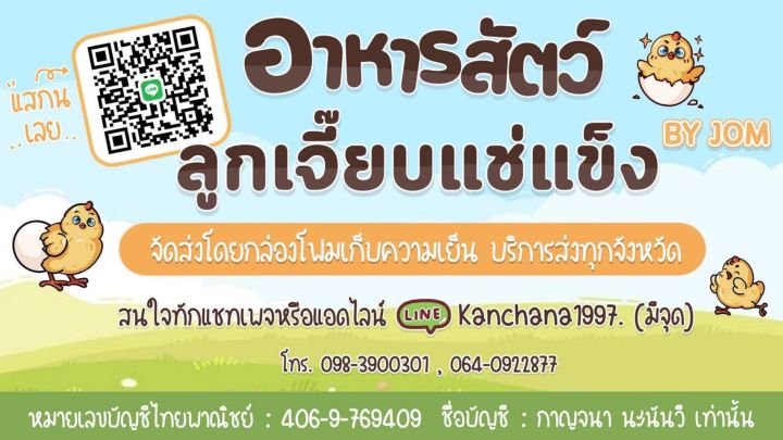 ลูกเจี๊ยบแช่แข็ง-อาหารงู-เหยี่ยว-สัตว์นักล่า-1-ชิ้นมี-2-แพ็ค