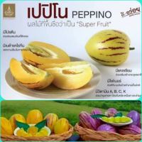 เมล่อนจิ๋ว เปปิโนเมล่อน pepino melon