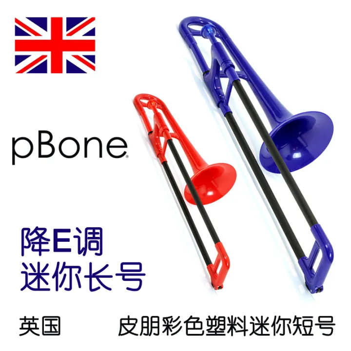 British Pbon E Pipeng Mini Plastic Trombone Copper Pipe Musical Instrument Alto EFlat E Tone