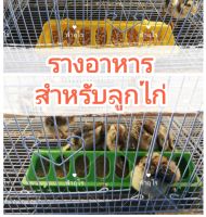 รางอาหารลูกไก่​ รางอาหารนกกระทา​ ยาว30cm.