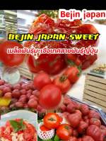 เมล็ดพันธุ์มะเขือเทศญี่ปุ่นBijin japan sweet (20เมล็ด)