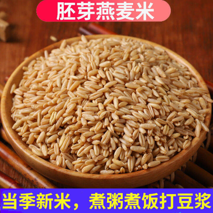 Grains of Oats 2.50kg New Rice 2022 Whole Germ Grains of Oats Pregnant
