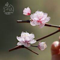 ปักผมรูปดอกไม้แบบหดตัวรูปดอกเหมยสวยปักผมไม้ไผ่ปิ่นระย้าสไตล์โบราณสำหรับเกล้าผมเครื่องประดับผมสำหรับชุดฮั่นฝูเครื่องประดับศีรษะแบบเรียบง่ายใส่ในชีวิตประจำวัน