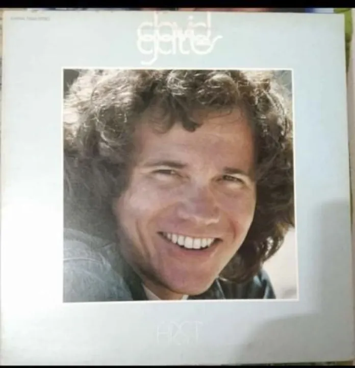 DAVID GATES FIRST ALBUM (includes Lorelee and Ann) VINTAGE VINYL LP ...