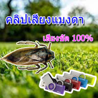 เสียงต่อ แมงดา แฟลชไดรฟ์ เสียงดี ชัดแจ๋ว100% เข้าแน่นอน