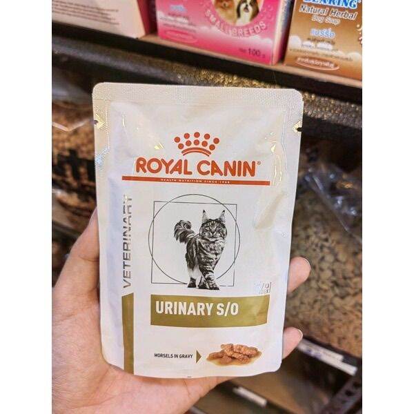 Royal Canin Urinary S/O Feline Wet Food Lazada PH